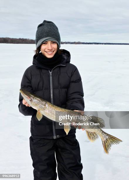 a 12 year old boy holding a freshly caught northern pike - pike position stock-fotos und bilder