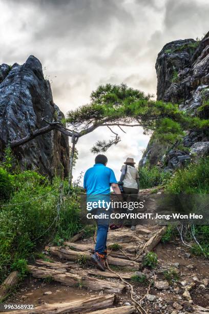 entering to the small valley to find a new shot - jong won heo stock pictures, royalty-free photos & images