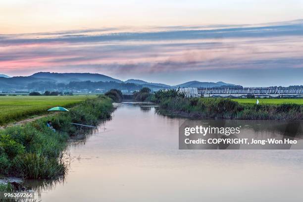 the rural scene after the sunset and a man enjoying fishing - provinsen gyeonggi bildbanksfoton och bilder