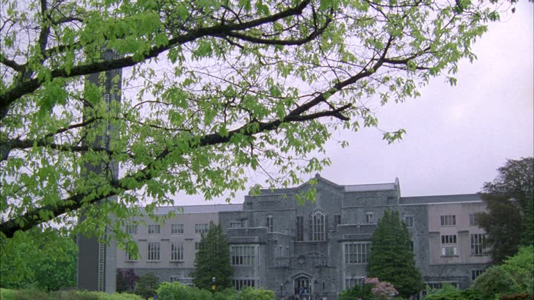 Stone Science Library 1,250 Stone Library Stock Videos, Footage, & 4K Video Clips - Getty Images