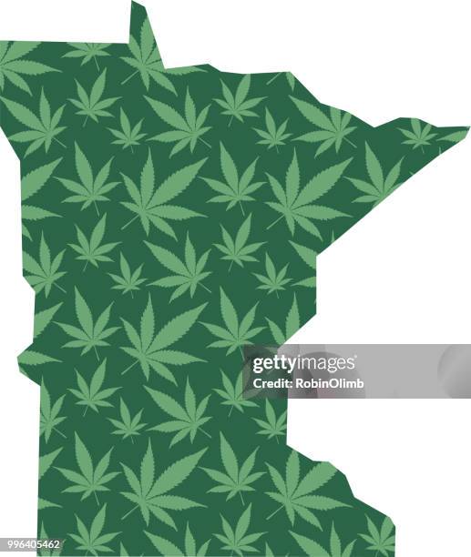minnesota marijuana leaves map - robinolimb stock illustrations