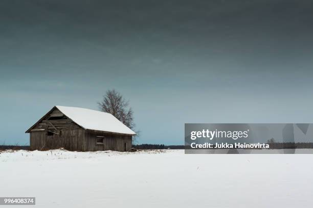 white snow under the dark skies - snow white - fotografias e filmes do acervo