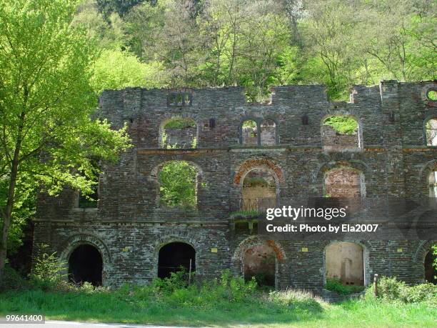 ruine - hotel - germany - deutschland - mosel - ruine stock pictures, royalty-free photos & images