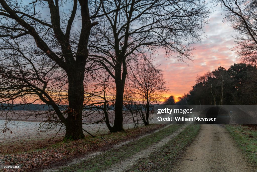 Frosty Path