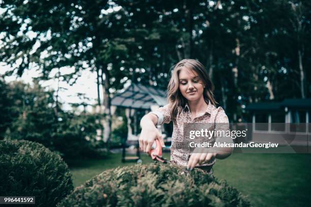 cute female cutting hedge in backyard - hedge fonds stock pictures, royalty-free photos & images