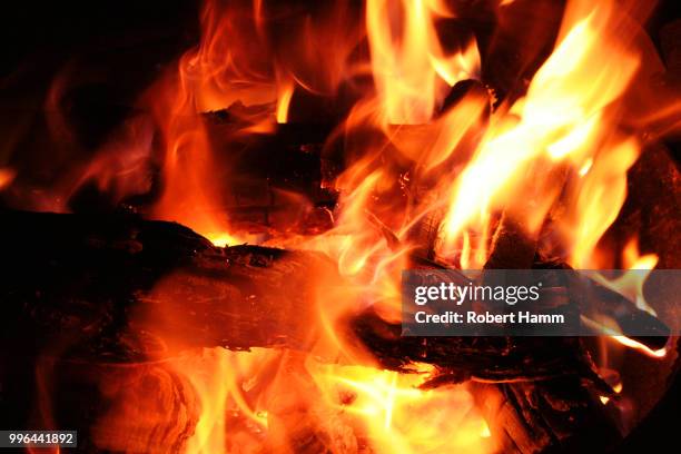 burning logs - hamm stock pictures, royalty-free photos & images