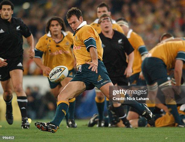 Nathan Grey Rugby 453 Nathan Grey Rugby Stock Photos, High-Res Pictures, and Images ...
