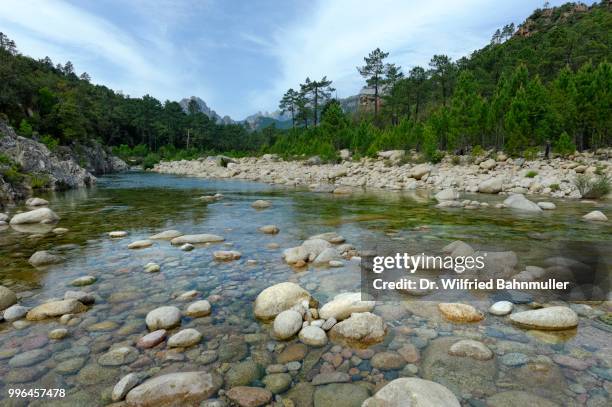 river solenzara, corse-du-sud, corsica, france - corse du sud stockfoto's en -beelden