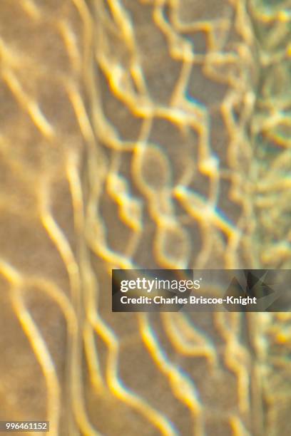 conceptual water and sand - kaleidescope stock pictures, royalty-free photos & images