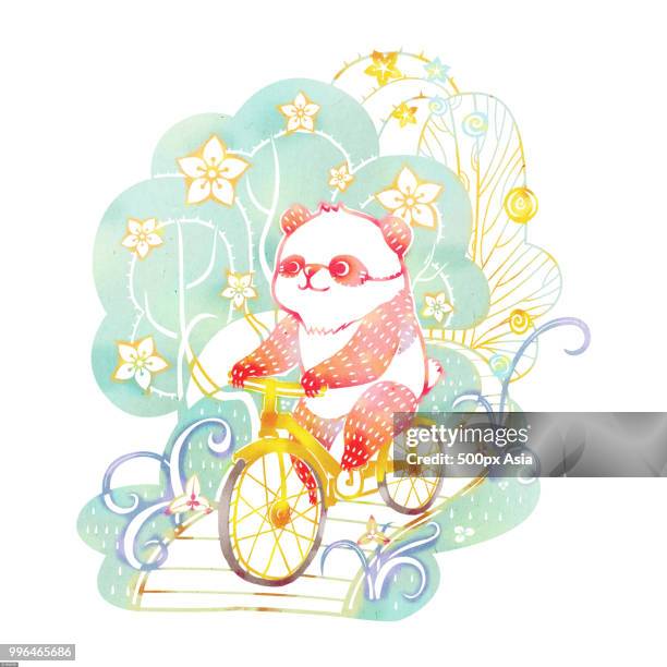 illustration of panda riding bicycle in summer - panda bike stock illustrations