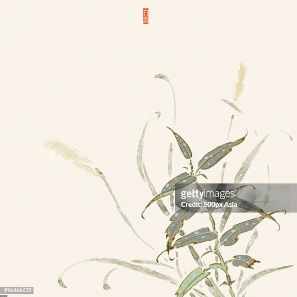 illustration of dew on leaves of plant - 500px stock illustrations
