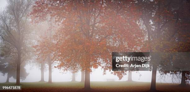 fog at hoornse plas - dijk stock pictures, royalty-free photos & images