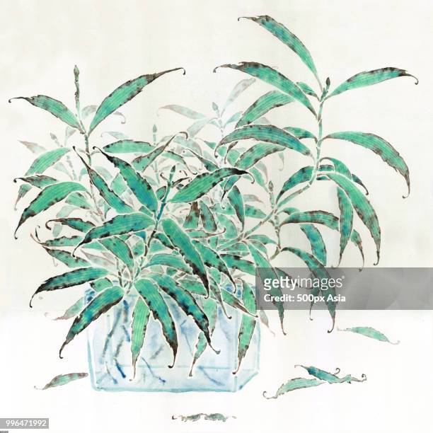 chinese still life painting of plant in vase - 500px stock illustrations