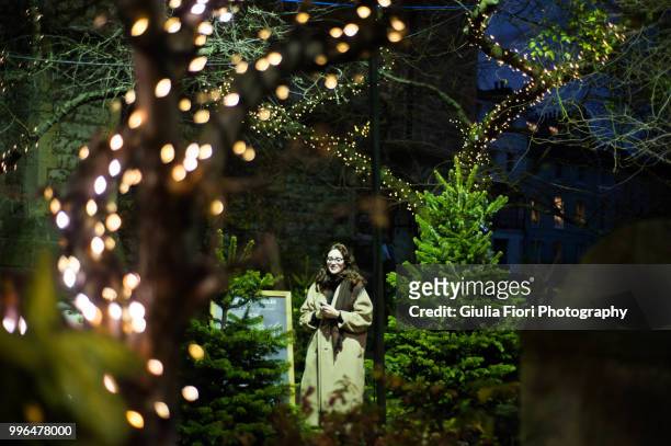 christmas lights on trees - fiori stockfoto's en -beelden