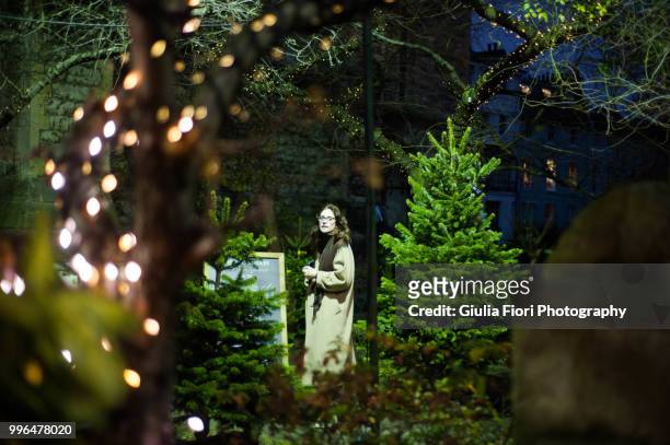 christmas lights on trees - fiori fotografías e imágenes de stock