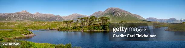 panorama of pine island, connemara ireland - pine bluff stock pictures, royalty-free photos & images