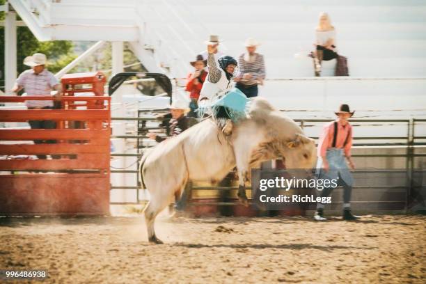 competition rodeo saddle bronc - rodeo clown stock pictures, royalty-free photos & images