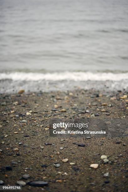 sand and sea - kristina strasunske fotografías e imágenes de stock