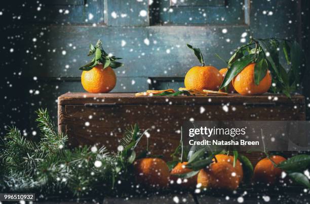 winter tangerines - tangerine 2015 film stock-fotos und bilder