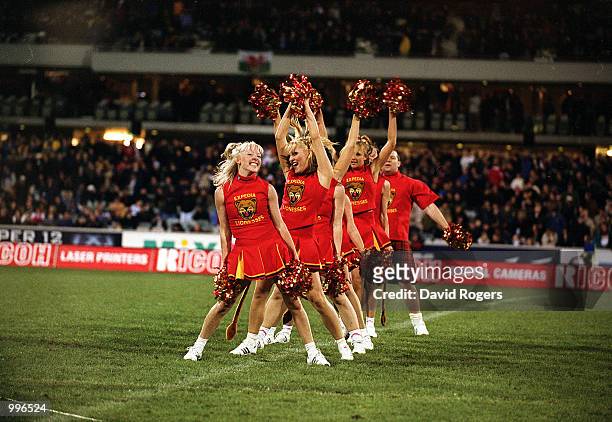 The Expedia Lionesses perform at half-time during the match between the British and Irish Lions and the ACT Brumbies played at Bruce Stadium,...