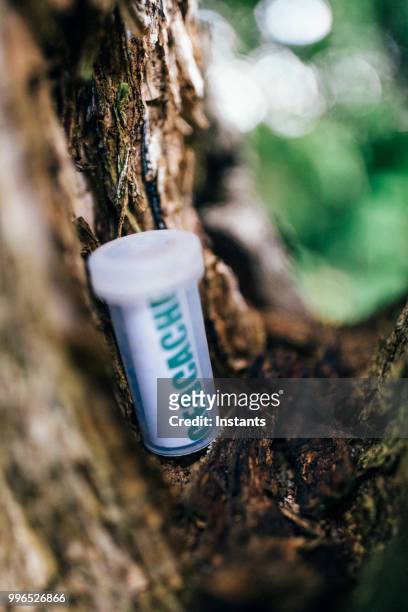a bottle found in the forest while geocaching. - geocaching stock pictures, royalty-free photos & images