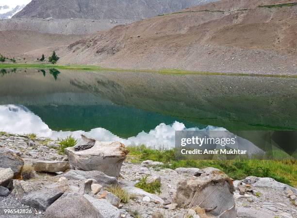 a beautiful view of borith lake - amir mukhtar fotografías e imágenes de stock