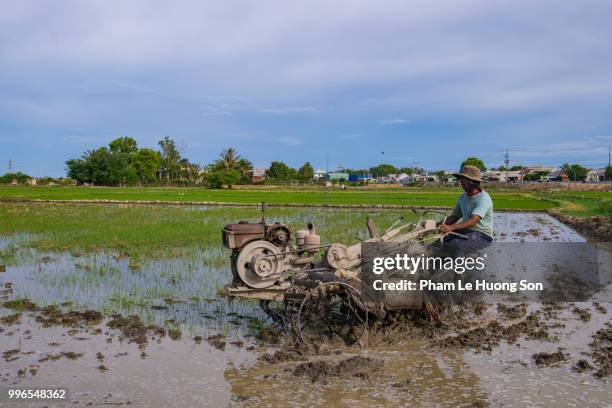 unidentifed man plowing paddy field with tractor in phan rang vietnam - phan rang stock pictures, royalty-free photos & images