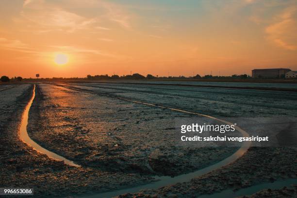 scenic view of farm against sky during sunset, thailand - pathum thani stock pictures, royalty-free photos & images