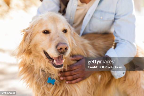 adorable smiling dog - hairy back man stock pictures, royalty-free photos & images