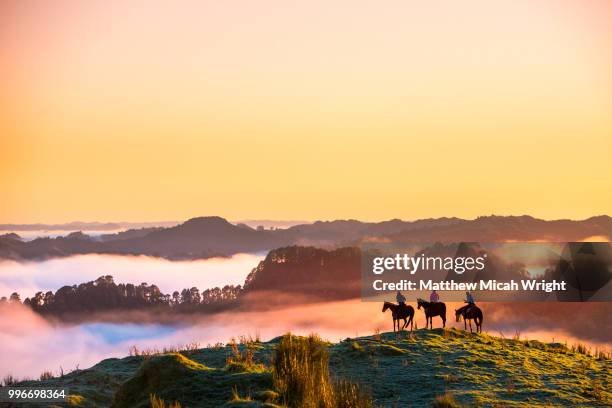 the blue duck lodge located in the whanganui national park is a working cattle farm with a focus on conservation. the early morning fog floods the valley at sunrise. a group of horse trekkers ride to the summit to catch the sunrise. - horseback riding stock pictures, royalty-free photos & images