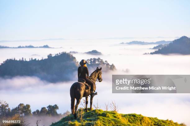 the blue duck lodge located in the whanganui national park is a working cattle farm with a focus on conservation. the early morning fog floods the valley at sunrise. a woman rides her horse to the summit to catch the sunrise. - horse riding stock-fotos und bilder