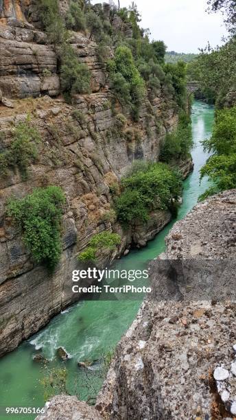 canyon landscape with high cliffs and river. koprulu kanyon, turkey - kanyon fotografías e imágenes de stock