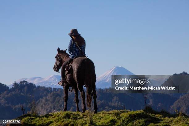 the blue duck lodge located in the whanganui national park is a working cattle farm with a focus on conservation. a woman rides her horse to the summit to catch the views of a snow covered mount doom (mount ngauruhoe) and tongariro in the background. - tongariro crossing stock pictures, royalty-free photos & images