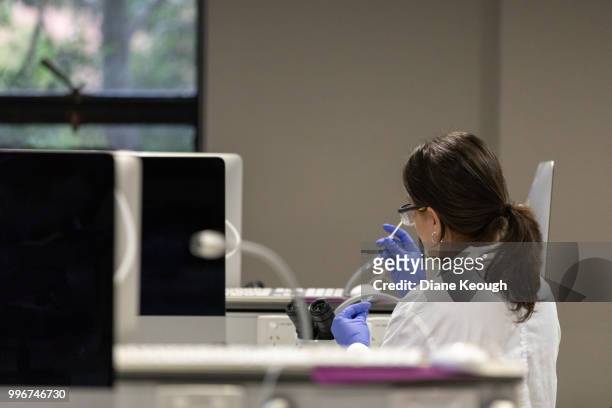 looking across desk in a university laboratory to a female scientist that is standing between desks. she is holding a syringe with a sample and specimen tube with her back to the camera as she concentrates on the sample. there are computer monitors on the - computer scientist stock pictures, royalty-free photos & images