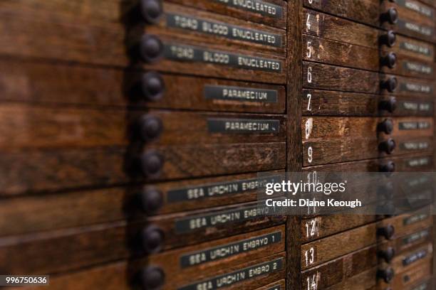 close up view of a timber drawer unit that has external labelling for microscope slides in the university laboratory. focus is on the draw labelling. - external stock pictures, royalty-free photos & images