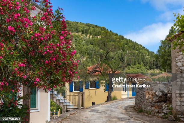 small road leading to exogi monastery, ithaca , ionian islands, greece - magnolio fotografías e imágenes de stock