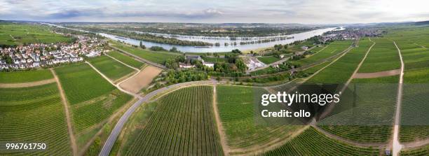 rio reno, rheingau - vista aérea panorâmica - ollo - fotografias e filmes do acervo