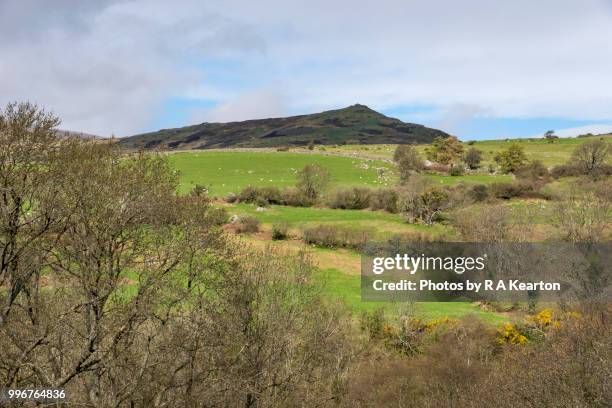 Snowdonia Spring 1,011 Snowdonia Spring Stock Photos, High-Res Pictures, and Images ...