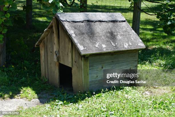 rustic chicken ccop structure - in the dog house stockfoto's en -beelden