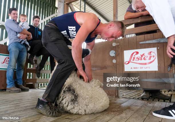 Tom Panter from Malham shears sheep during a competition at the 160th Great Yorkshire Show on July 10, 2018 in Harrogate, England. First held in 1838...