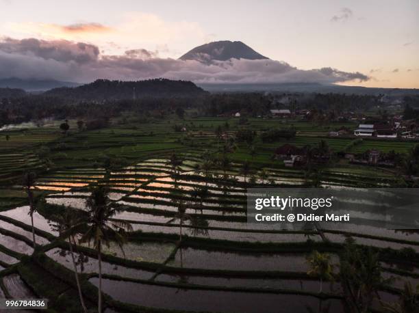 stunning view of the agung volcano with rice paddies in north bali in indonesia - didier marti stock pictures, royalty-free photos & images