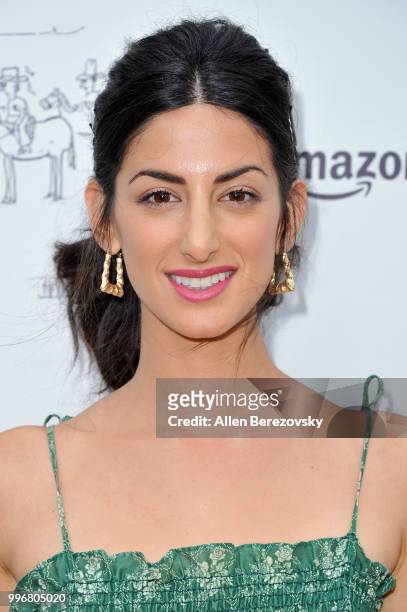 Ayden Mayeri attends Amazon Studios Premiere of "Don't Worry, He Wont Get Far On Foot" at ArcLight Hollywood on July 11, 2018 in Hollywood,...