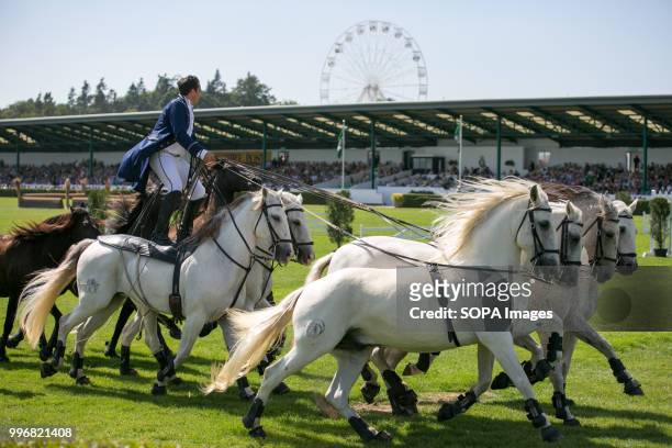 Participant seen riding on the back of two horses while standing up during the Great Yorkshire Show 2018 on day one. The Great Yorkshire Show is the...