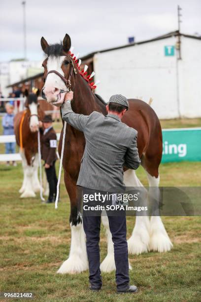 Participant seen taking care of his horse during the Great Yorkshire Show 2018 on day one. The Great Yorkshire Show is the biggest 3 days...