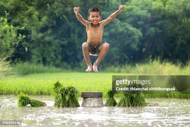 kid enjoy jumping in rice farm - province de chonburi photos et images de collection