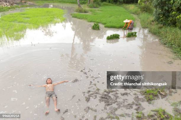 naughty kid lay on mud in rice farm - province de chonburi photos et images de collection