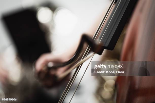 woman playing a contrabass at concert hall - klassieke orkestmuziek stockfoto's en -beelden