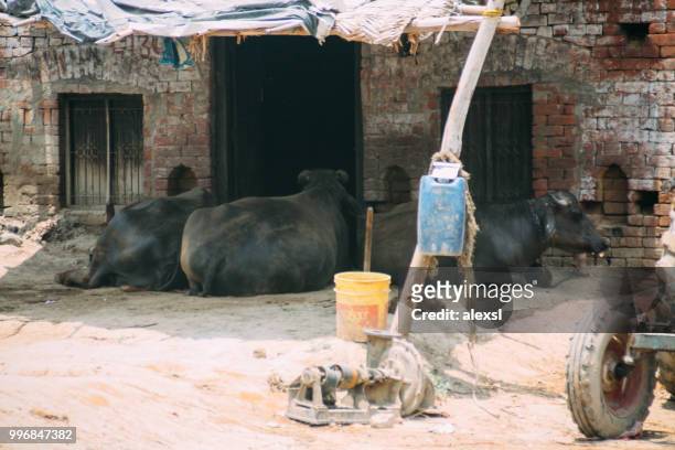 indian traditional street shop market in rural area - alexsl stock pictures, royalty-free photos & images