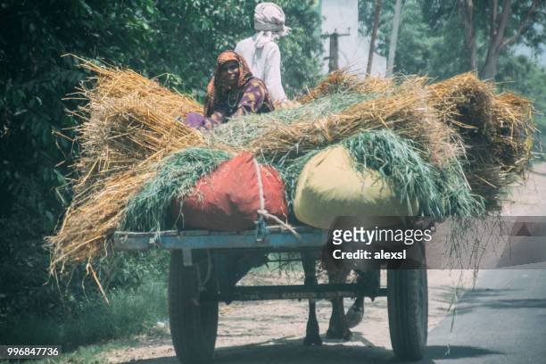 indian agricultural load traditional mode of transport - alexsl stock pictures, royalty-free photos & images