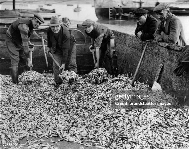 Fish Loading 555 Loading Fish Stock Photos, High-Res Pictures, and Images - Getty Images